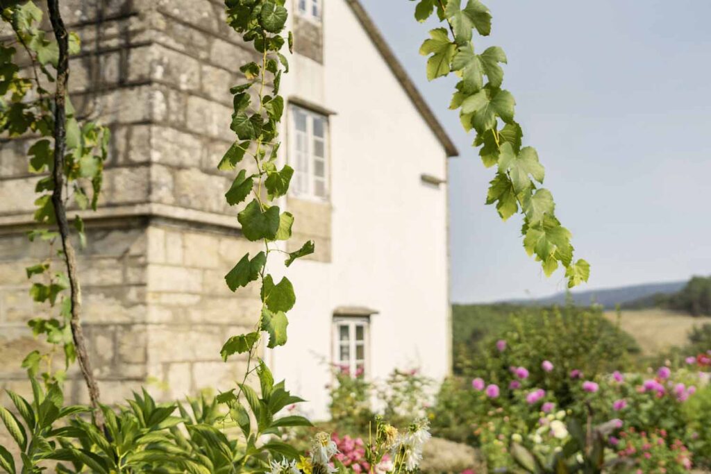 adega-chaos-vino-albarino-13