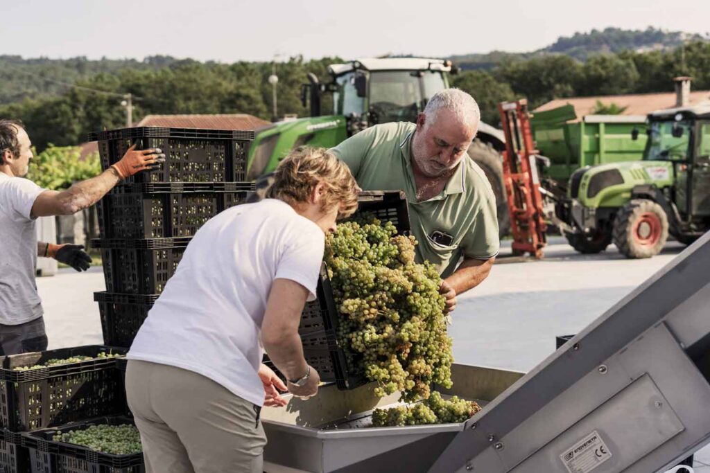 adega-chaos-vino-albarino-6