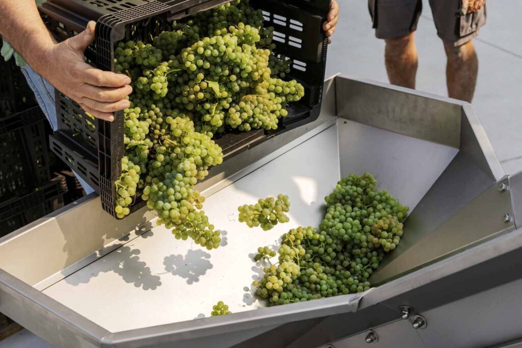 adega-chaos-vino-albarino-9